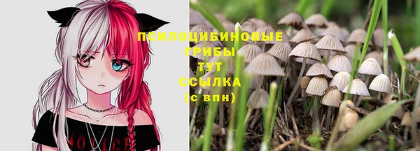 jwh Баксан