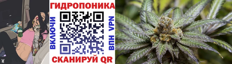 Бошки Шишки семена Луховицы